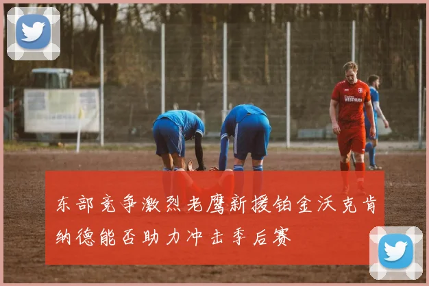 东部竞争激烈老鹰新援铂金沃克肯纳德能否助力冲击季后赛