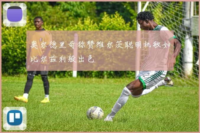 奥尔德里奇称赞维尔茨聪明机敏如比尔兹利般出色